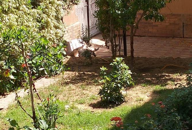 8174187 - Property Image 3