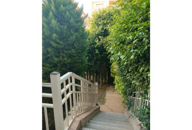 8046900 - الصورة الرئيسية للعقار