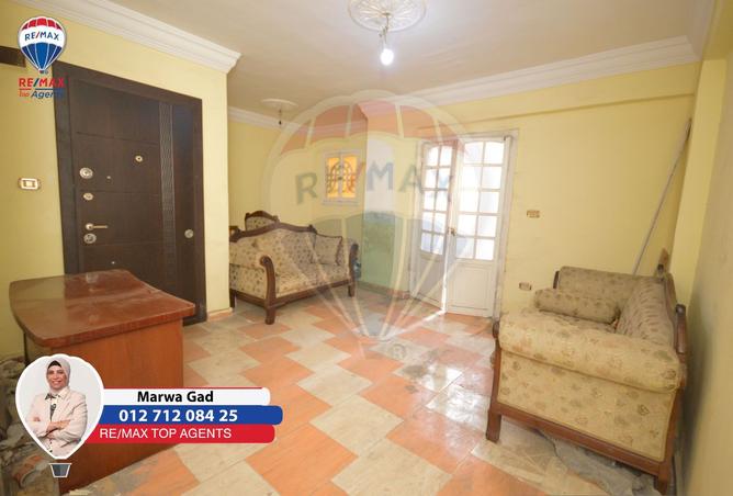 8240115 - Property Image 3