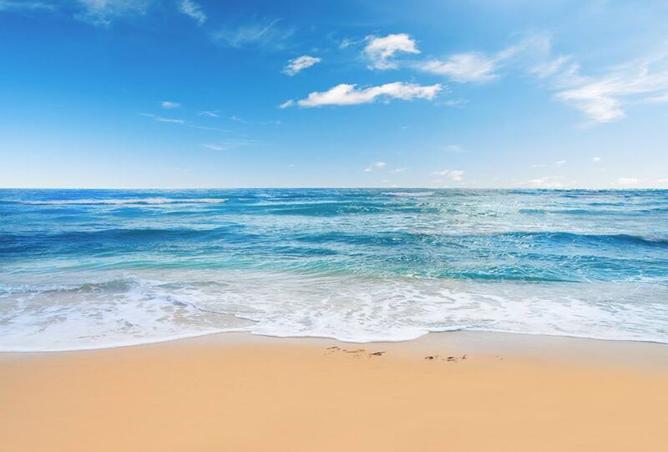 8461329 - صورة العقار 2