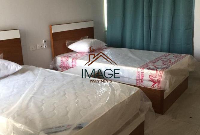 8199766 - Property Image 3