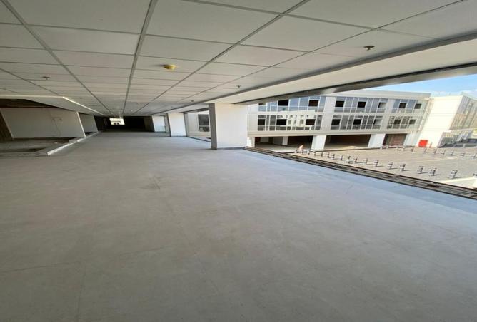 8241633 - Property Image 3