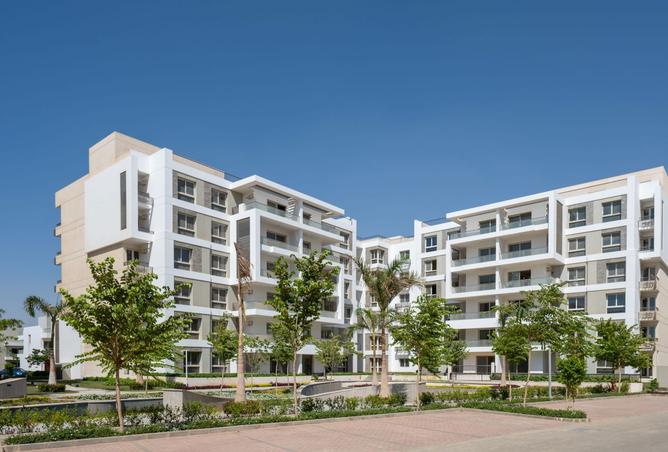 8182043 - Property Image 3