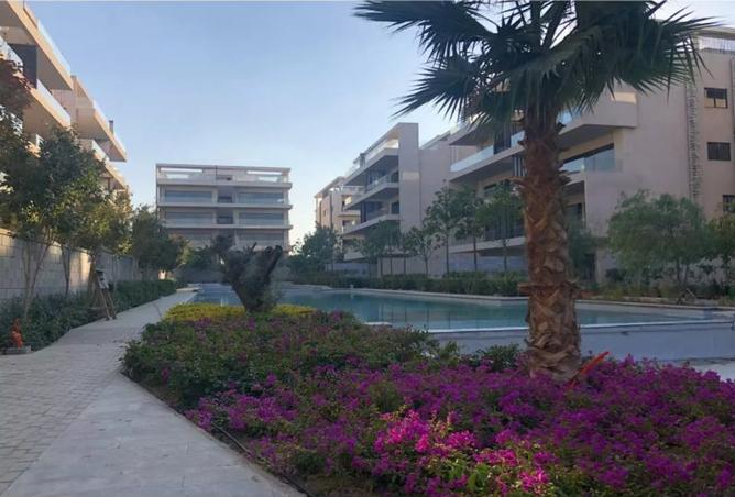 8028510 - صورة العقار 3