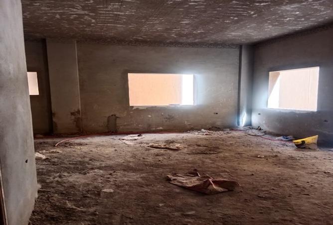 8432353 - Property Image 3