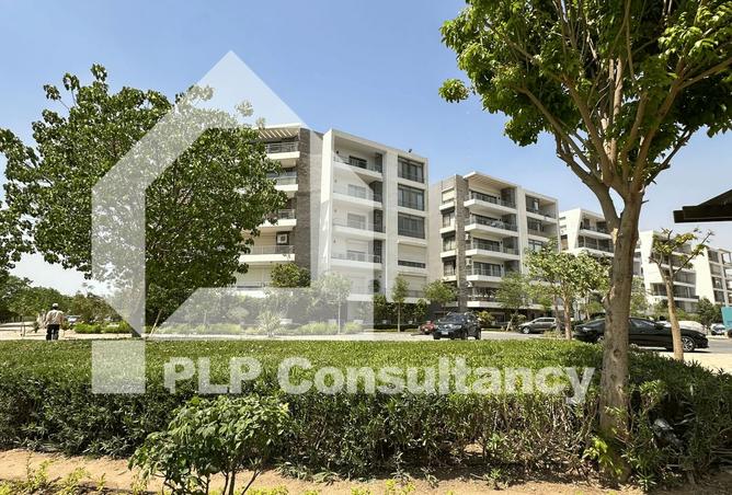 8128917 - Property Image 2