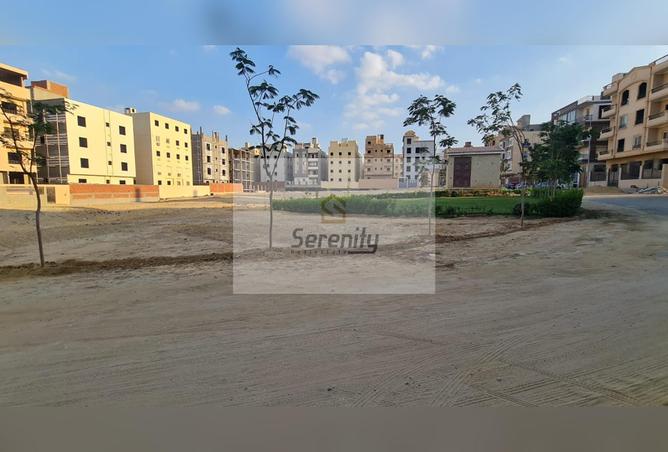 7985644 - Property Image 3