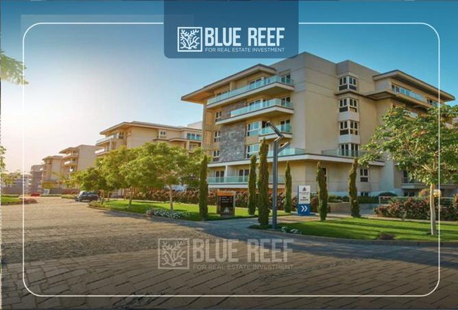 8442380 - Property Image 3