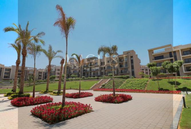 8152910 - Property Image 3