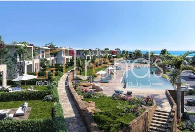 8398676 - Property Image 3