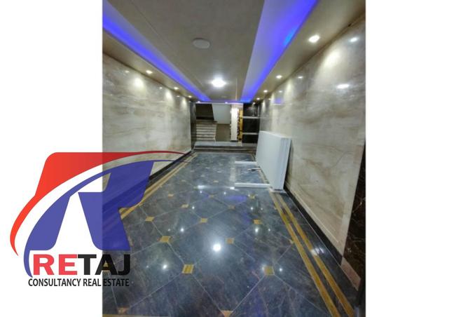 8291973 - Property Image 3