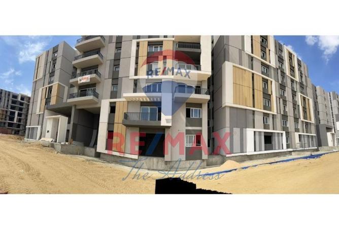 7945385 - Property Image 3