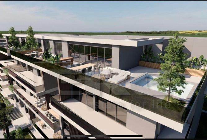 7996848 - Property Image 3