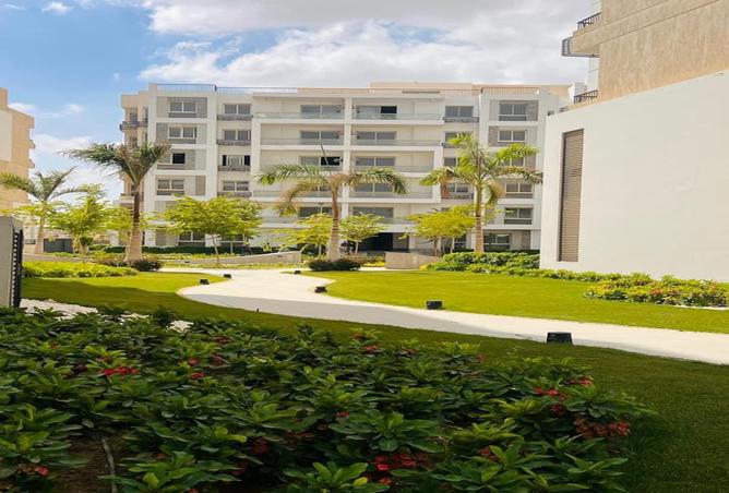 7981838 - صورة العقار 3