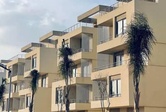 8293647 - صورة العقار 2