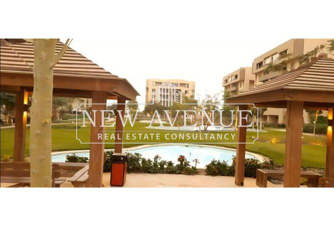 7913209 - Property Image 3