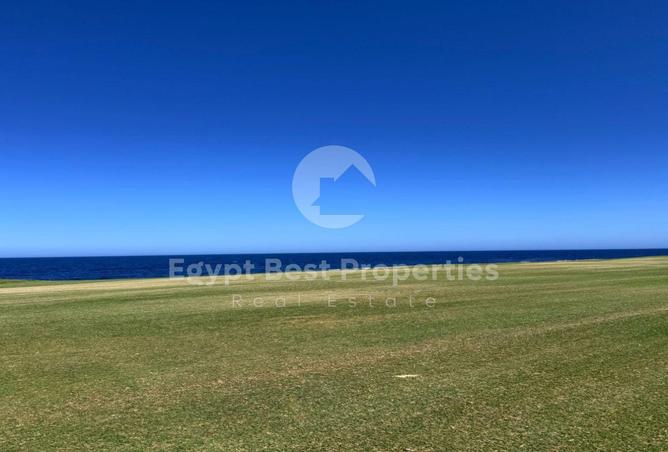 8071179 - Property Image 3