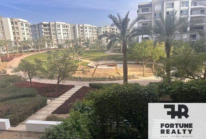 8396806 - صورة العقار 3