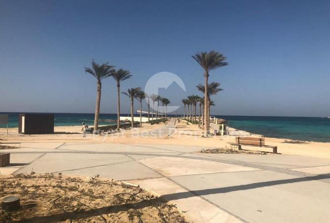 8559261 - صورة العقار 3