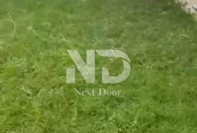 8525288 - Property Image 3