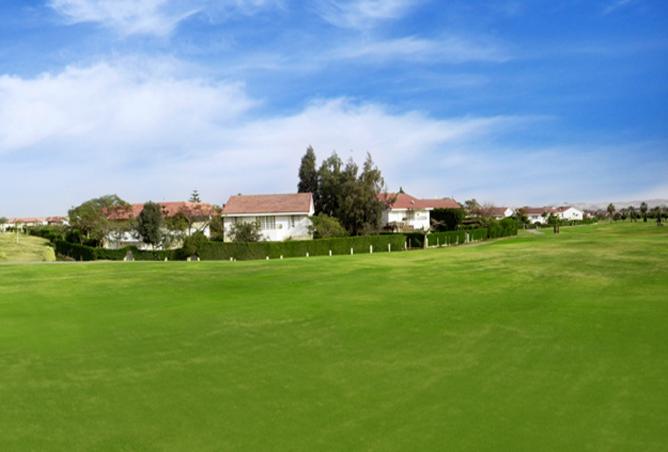 8261380 - Property Image 3