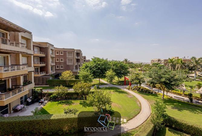 7903696 - Property Image 3