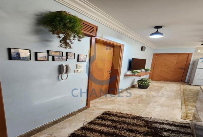 8119767 - Property Image 3