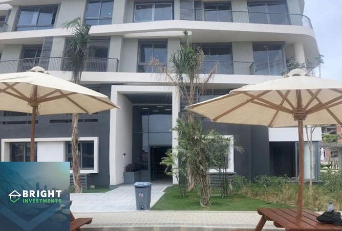 8280474 - Property Image 3