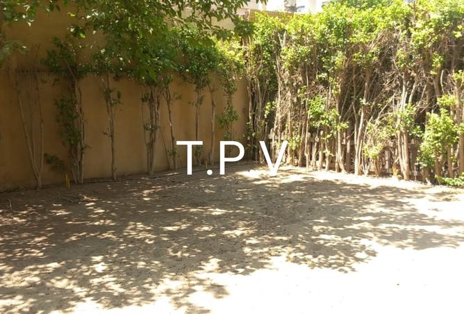 8385396 - Property Image 3