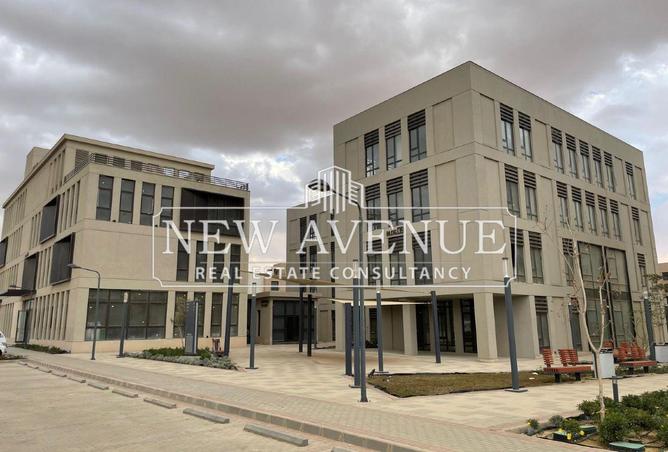 8206592 - Property Image 3