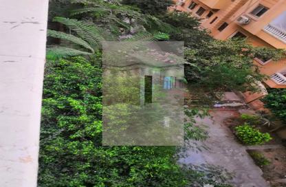 Apartment - 3 Bedrooms - 2 Bathrooms for rent in The 1st Settlement - New Cairo City - Cairo