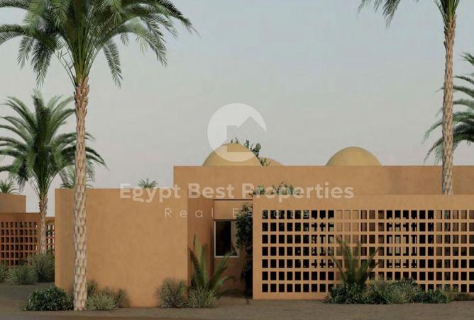 8028935 - صورة العقار 3