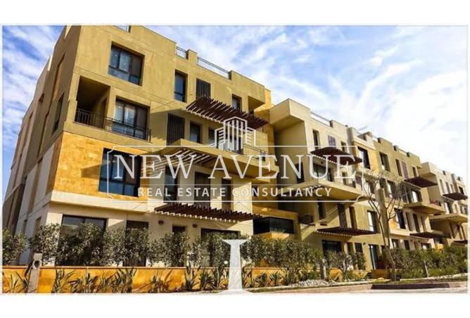8121781 - Property Image 3