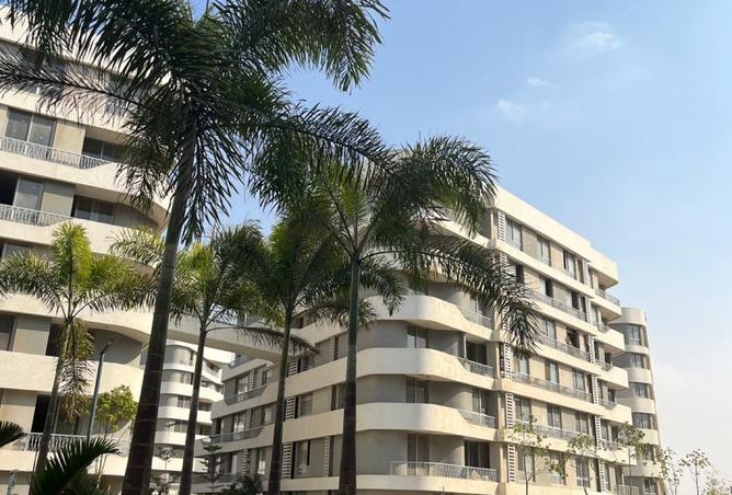 8367321 - Property Image 3