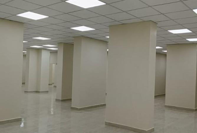 8007646 - صورة العقار 2