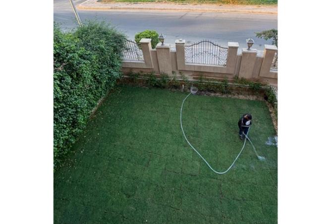 8135684 - Property Image 2