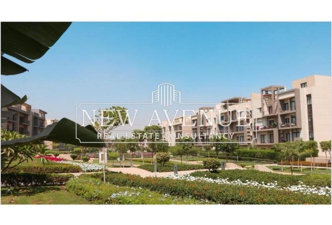 8069758 - Property Main Image