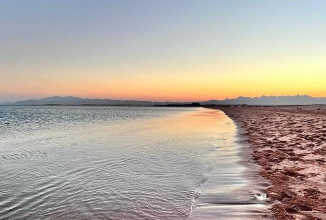 8242095 - Property Image 3