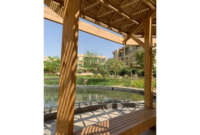 8166178 - صورة العقار 3