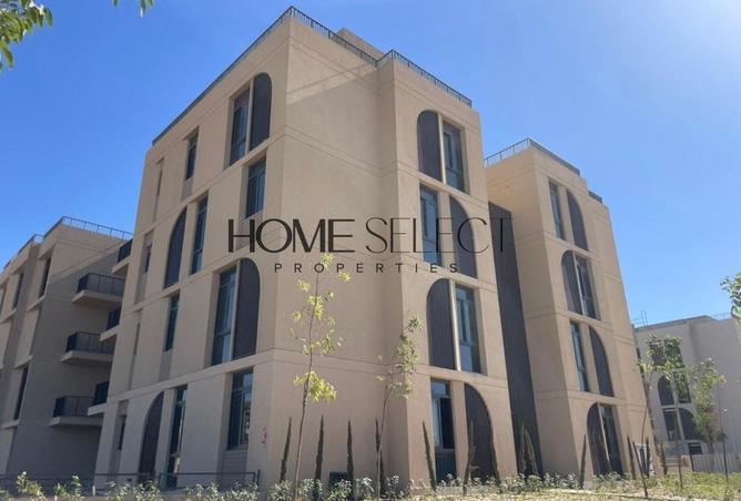 8251628 - Property Image 3