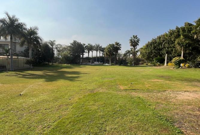 8460945 - صورة العقار 2