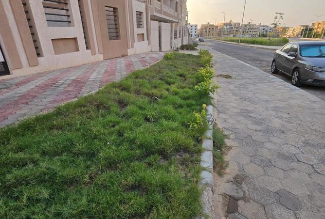 7929515 - صورة العقار 3