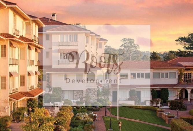7939946 - Property Image 3
