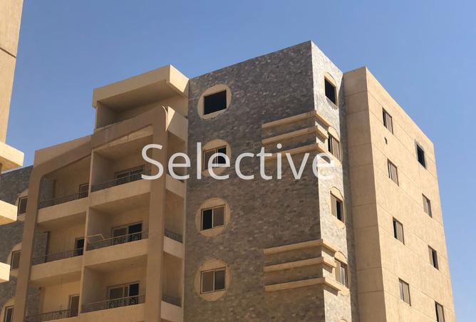 8130532 - صورة العقار 2