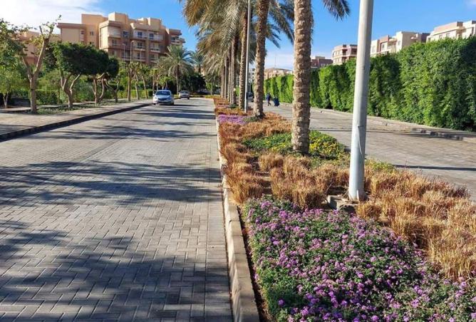 7894685 - صورة العقار 3