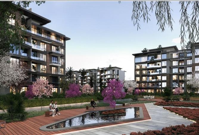 8322498 - Property Image 3