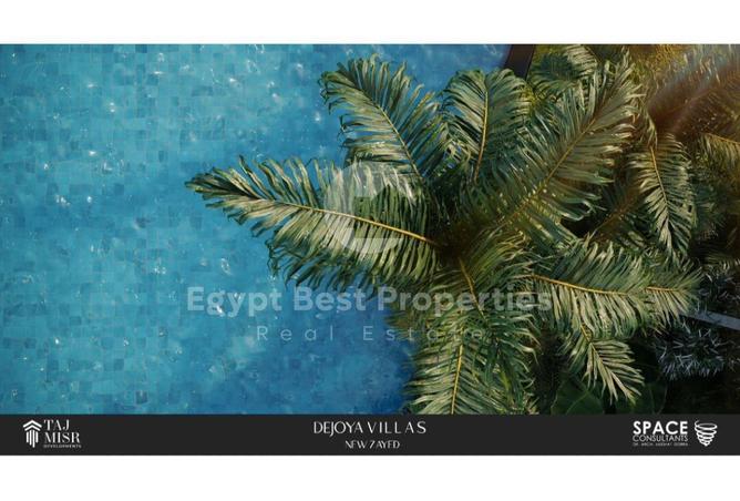 8151516 - Property Image 3
