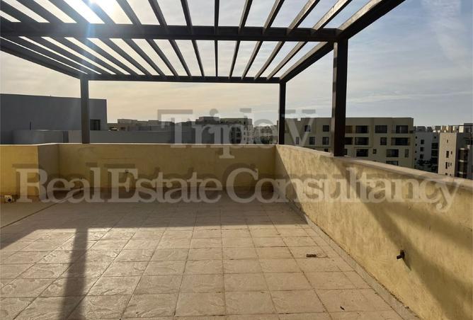 8197306 - Property Image 3