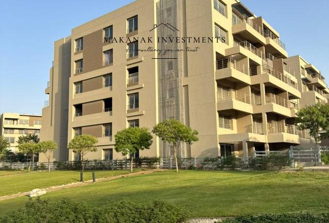 8117367 - Property Image 3