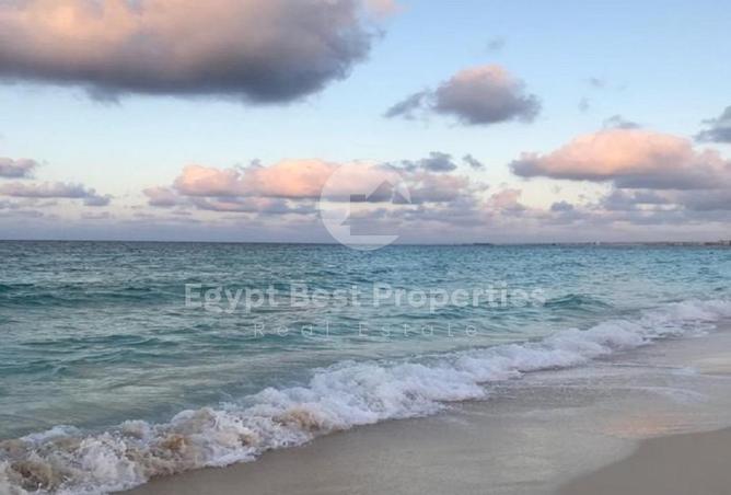 8138090 - صورة العقار 2